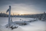 Finland at minus20 by Di Tilsley