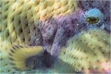 2018-19 Competition 7: Creative Prints