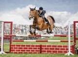 Flat Out by Stephen Jones Highly Commended Advanced Section