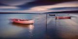 Fleeting Moment Tony Gill