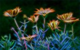 Flower Power by Dee Wareham