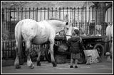 Free Spirit of Glastonbury by Lisa Rendall Commended Section B