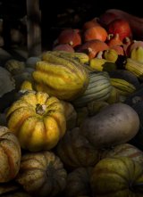 Halloween Store Shed by Carol Tritton