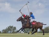 Hammers Raised by Tim Downton Commended