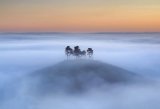 Heaven's Hill by Tony Gill