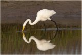 2017-18 Competition 5: Focus on Nature