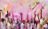 In the Pink by Stephen Jones - HC Open Prints