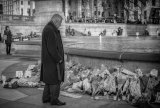 Je Suis Paris by Penny Piddock