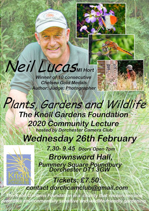 Knoll Lecture 26 Feb 2020