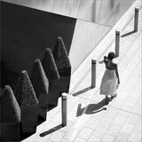 Carol Tritton LRPS