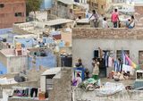 Life on the Rooftops by Peter Yendell Highly Commended Section B