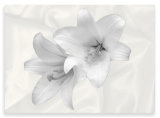 Lilies by Dee Wareham