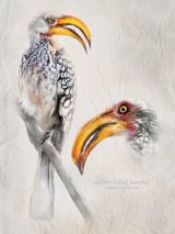 Page from the naturalist's notebook by Lisa Bukalders
