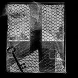 Lockdown by Susan Hendrick Commended