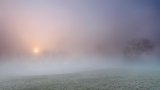2015-16 Competitions - First Placed Images