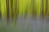 May Colours by Paul Wiley