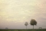 Misty Sunrise by Barbara Jenkins, Section B Winner Comp 6 Creative Print 2014-15