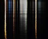 Night Life Barbara Jenkins