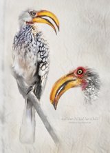 Page from the Naturalist's Notebook by Lisa Bukalders