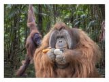 Rain Forests in the Palm of Our hands by Steve Lord - B 2nd
