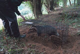 Release after Vaccination by Lisa Bukalders