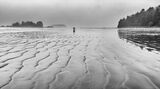 Sand Ripples by Jane Lee Third