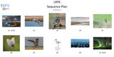 Sequence Plan - Jenny Warr LRPS Nov 2020