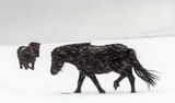 Snowstorm by Annette Beardsley 1st Place