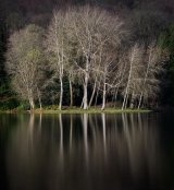 Stourhead Reflections by Stephen Jones