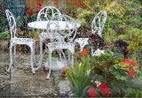 Summer Rain by Dee Wareham, First Section A