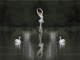 Swan Lake by Neil Crick