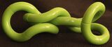 Tangled by Chris Parvin Commended Section B