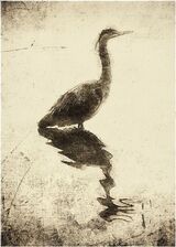 The Art of the Japanese Heron by Lisa Rendall Second Club Section