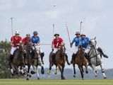 The Charge by Tim Downton