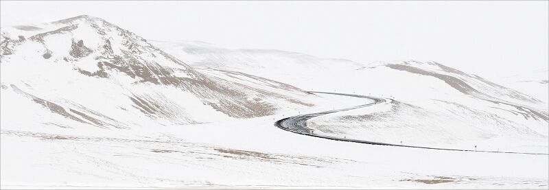 The Curve by Di Tilsley
