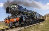 The Flying Scotsman by Ivor Toms Highly Commended Advanced Section