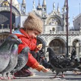 The Pigeon Fancier by Greg Duncan