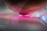 The Touch by Emil Zahariev