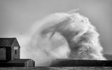 The Wave by Tony Gill