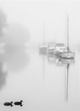 Theme 3 - Wareham River Dawn by Jill Riggs