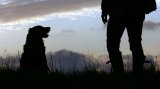 Waiting for a Treat by Steve Broadhurst, Section B Winner Comp 4 'One Mile of Home' Digital 2014-15