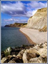 West Bay View by Janet Comley