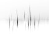Whispering Pines by Stephen Lee Highly Commended Advanced Section