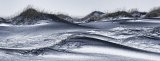 White snow, black sand Jane Lee