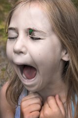 Will it Bite by Dee Wareham