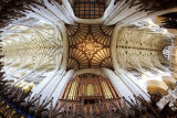 Winchester Cathedral Ceiling and Organ by David Cantrille