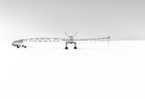 Winter Irrigation by Stephen Lee Second Section A