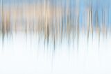 Winter Woods by Pam Hunt First Club Section
