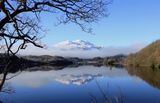 Winter morning by David Whitton