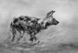 Wild Dog Hunting by Lisa Bukalders